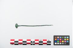 Foto von Bronzekugelkopfnadel (NHMW-PRAE-024185)